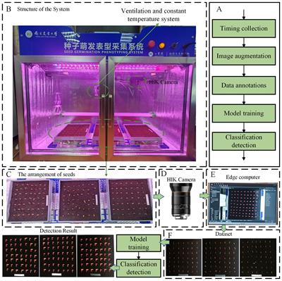 RT-DETR-SoilCuc: detection method for cucumber germinationinsoil based environment